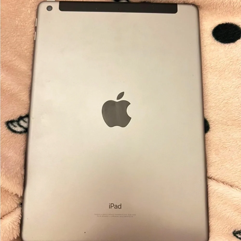Apple iPad with Apple Pencil 1st gen